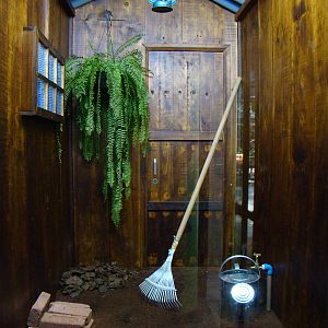 Terrarium Bothrops jararaca