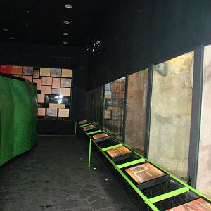 Exhibit