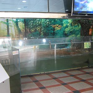 tank for spotted seal (Phoca largha)