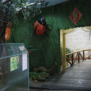 tank for spotted seal (Phoca largha) and conservatory