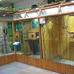 cages for common marmosets (Callithrix jacchus)