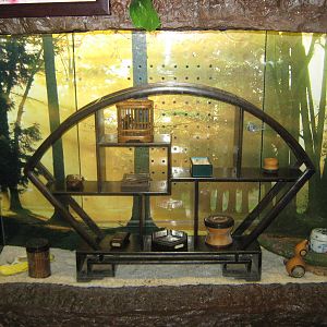 tank for Chinese bush cricket (Gampsocleis gratiosa)