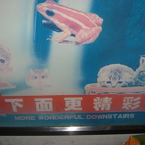 More Wonderful Downstairs