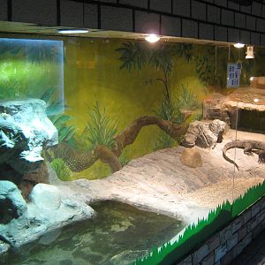 tank for water monitor (Varanus salvator)