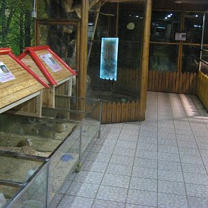 mammal section