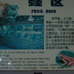 frog tanks signage