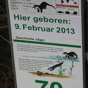 Sign and birth sign of Oriental Small-clawed otter