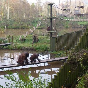 Ape Islands, 11 December 2013