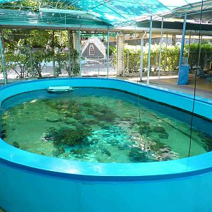 First reef pool, May 2013.