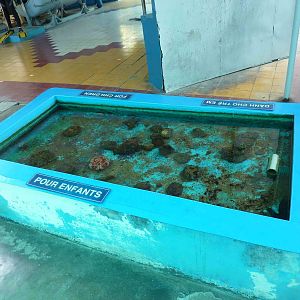 Touch pool, May 2013.