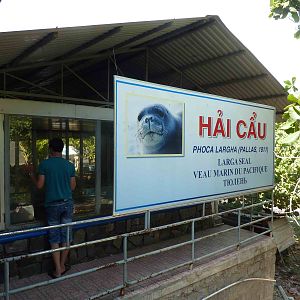 Spotted seal enclosure, May 2013.