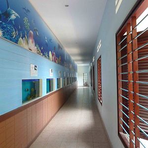 Aquarium corridor, May 2013.