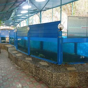 Artificial reef tank, May 2013.