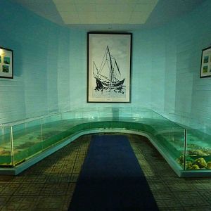 Interesting tank design, May 2013.