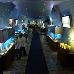 Marine resources of the Spratly and Paracel archipelagos, May 2013.