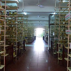 Spirit room, May 2013.