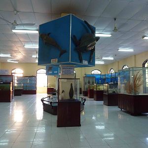 Upper hall, May 2013.