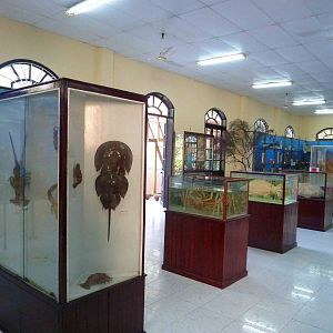 More specimens, May 2013.