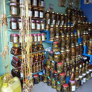 A forestful of wildlife, May 2013.