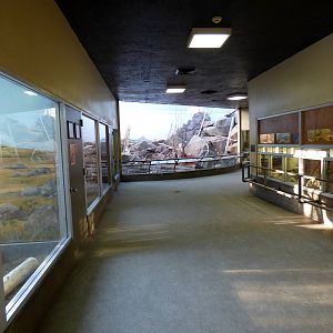 Small Animal Building