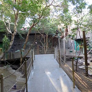 Small Animal Building Aviary