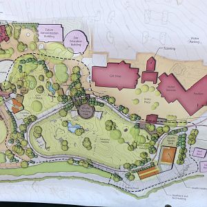 Updated Site Plan for African Savanna