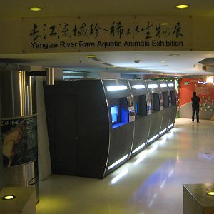 Yangtze River exhibition area