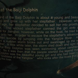 Legend of the Baiji Dolphin