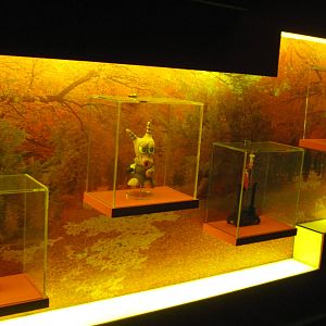 opening of Special Exhibition