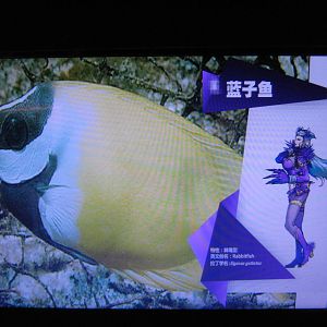 Special Exhibition sign