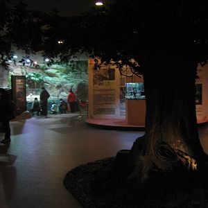 first view into the Aquarium