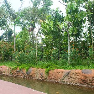 Amazon River Quest - Maned Wolf exhibit