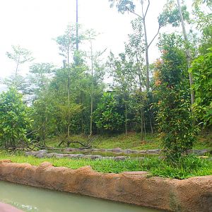 Amazon River Quest - Capybara exhibit