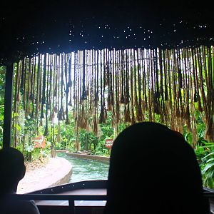 Amazon River Quest - Aviary