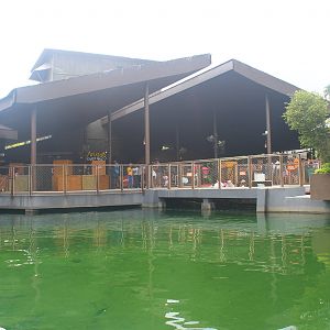 Amazon River Quest - Boat Ride Station
