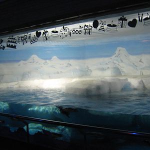 penguin exhibit