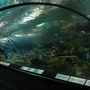 tunnel tank