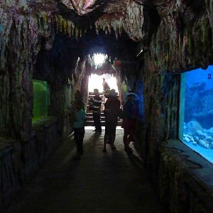 Tanks below deck, May 2013.