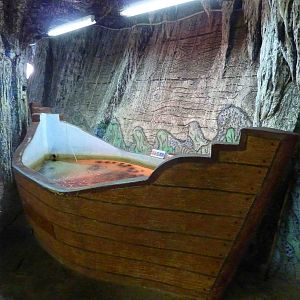 Sea urchin (touch?)pool, May 2013.