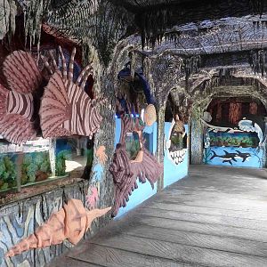 Themed tanks on deck, May 2013.