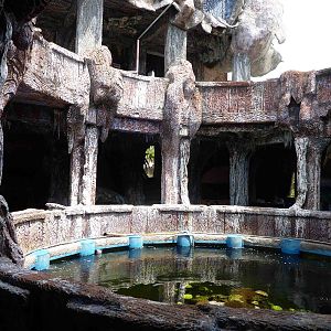 Main coral reef tank with upper levels, May 2013.