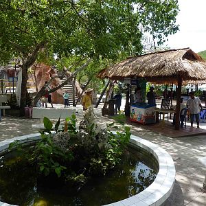 Aquarium complex, May 2013.