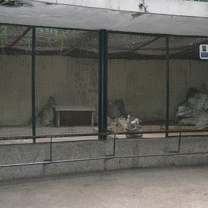 aviary for great bustard (Otis tarda)