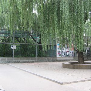 aviary for crested ibis (Nipponia nippon)