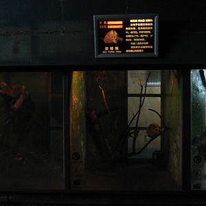 inside the Nocturnal House