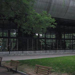 cage for rhesus macaques (Macaca mulatta)