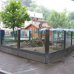Chinese crested porcupine enclosure