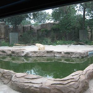 polar bear enclosure