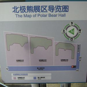 polar bear house map