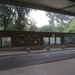 bear viewing and signage